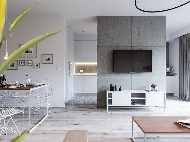 minimalist-apartment-with-concrete-accent-wall.jpg